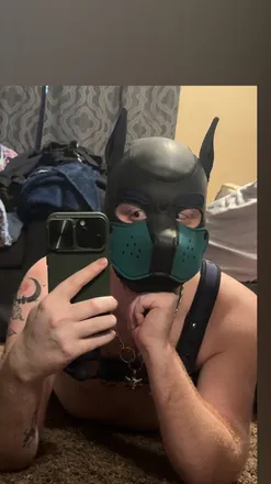 OnlyFans of spookthedog