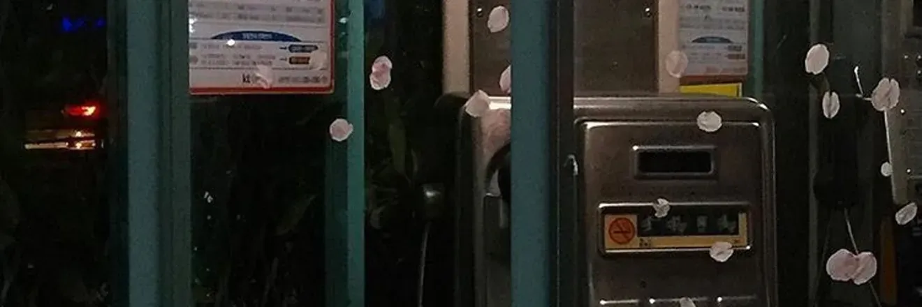 2025-08-06 photo 1