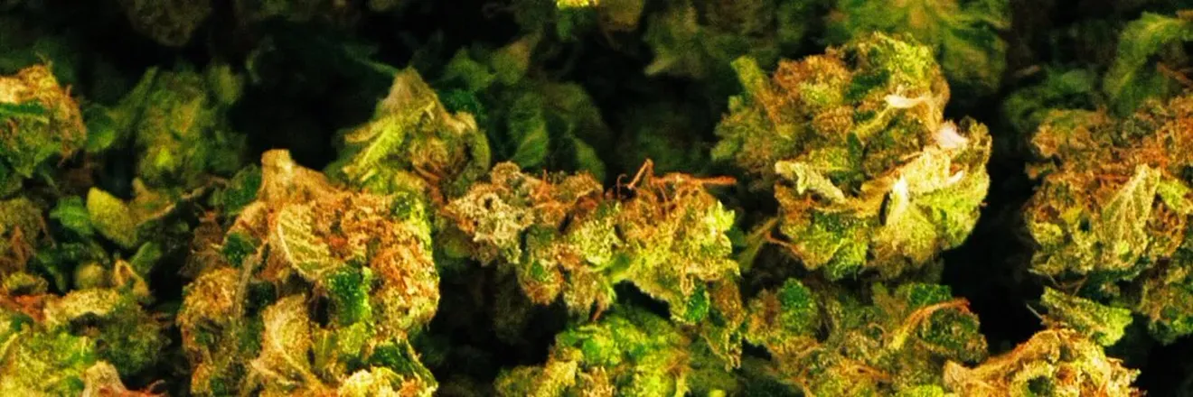 2025-09-20 photo 2