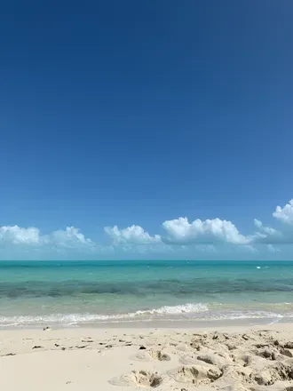 2025-10-16 photo 2