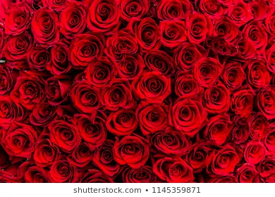 OnlyFans cuenta u28690081 header 2