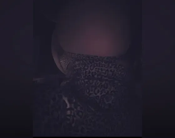 2026-04-06 photo 2
