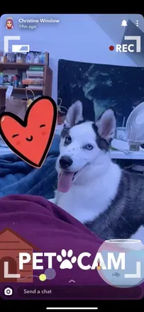 2026-07-12 photo 2