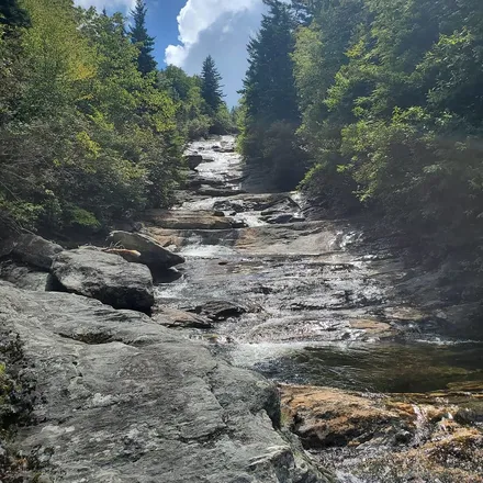 2025-08-01 photo 2
