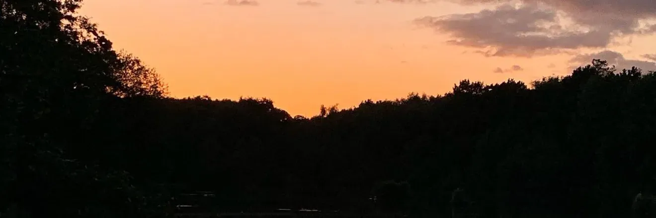 2025-07-21 photo 1