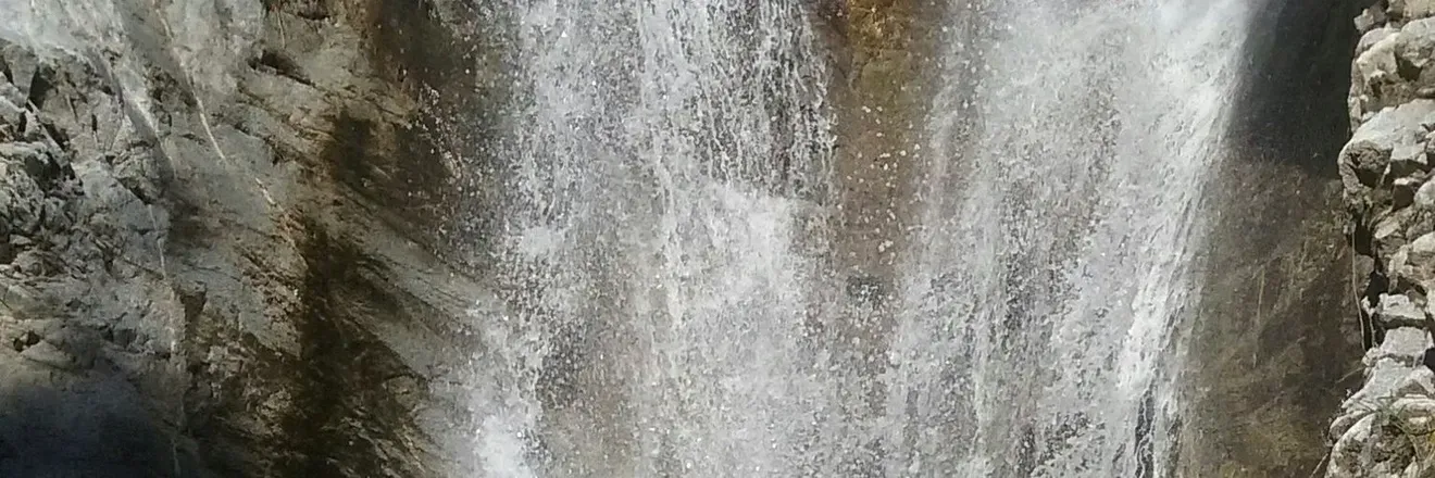 2025-07-14 photo 1