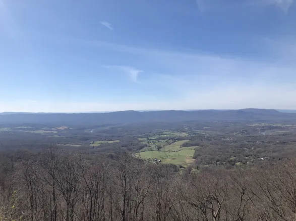 2026-02-02 photo 1
