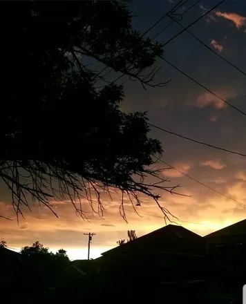 2026-07-12 photo 1