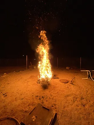 2026-02-02 photo 2