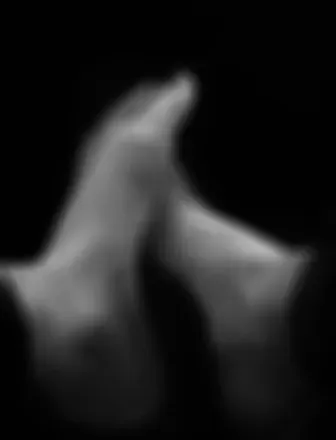 2025-08-20 photo 2