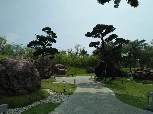 2026-06-04 photo 1
