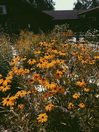2025-10-08 photo 1