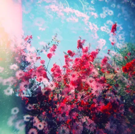 2025-12-06 photo 2