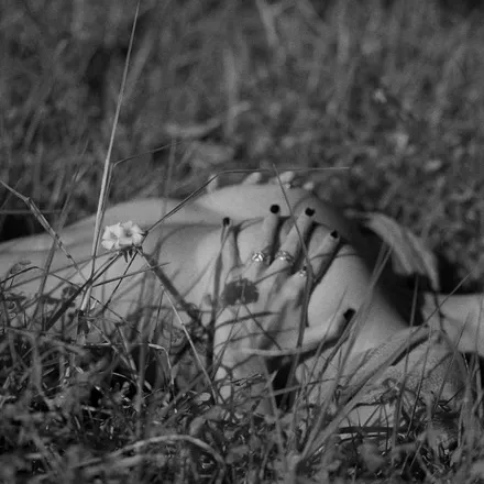 2026-07-12 photo 1