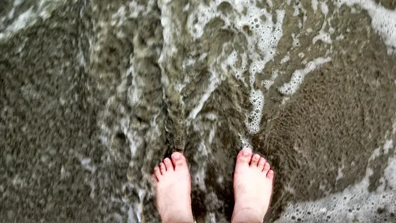 2025-10-16 photo 2