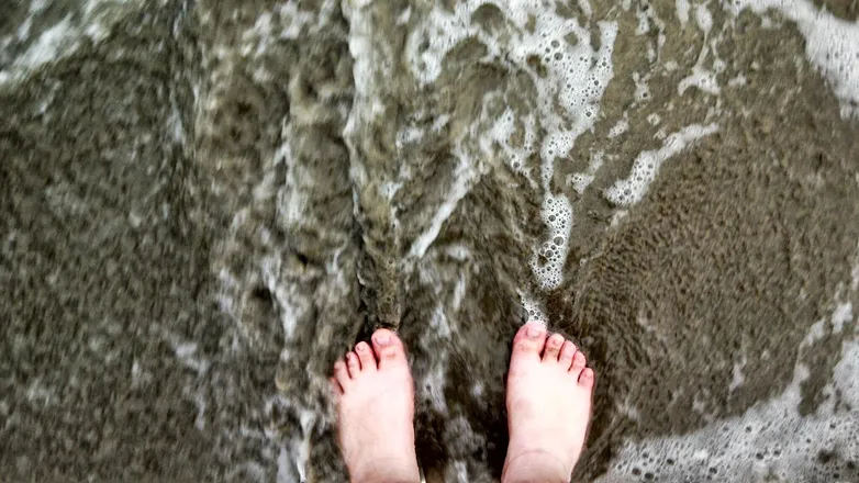 OnlyFans cuenta zebrafeet header 2