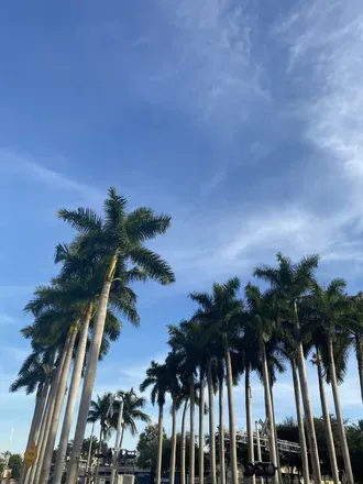 2026-04-06 photo 2