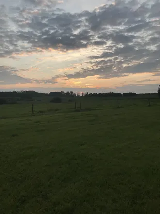 2026-01-08 photo 1