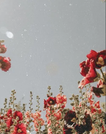 OnlyFans cuenta brynnnn header 2