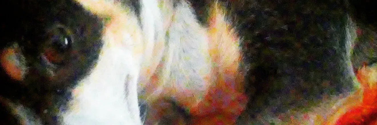 2026-02-02 photo 1