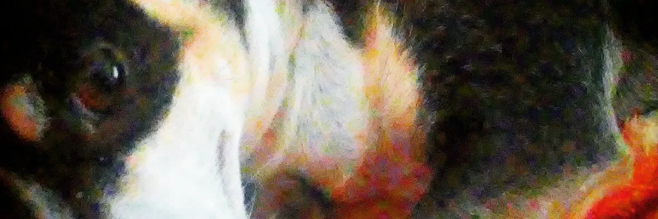 OnlyFans cuenta kevinish3r3 header 2