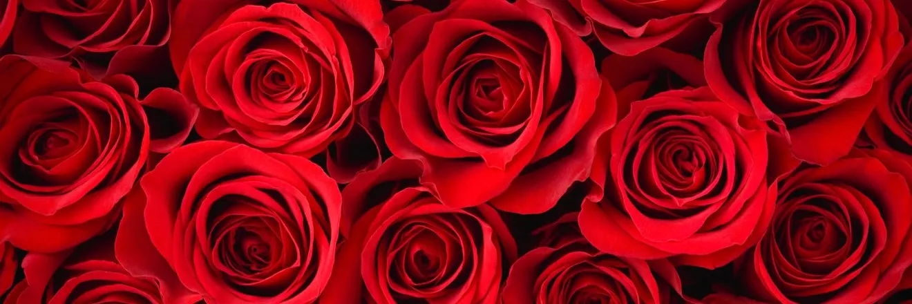 OnlyFans cuenta duragdonatello header 2