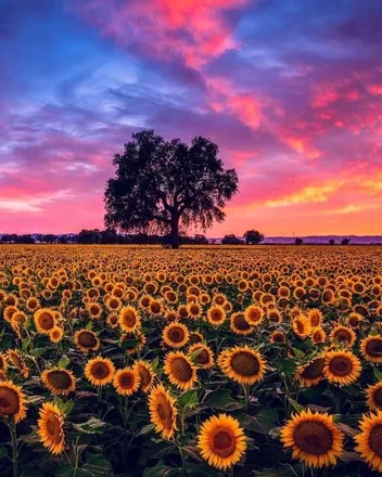 2025-09-05 photo 2