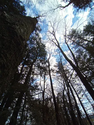 2026-01-08 photo 1
