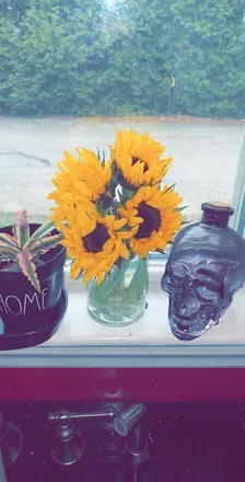 2025-08-06 photo 2