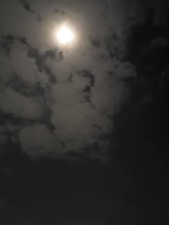 2026-02-22 photo 2