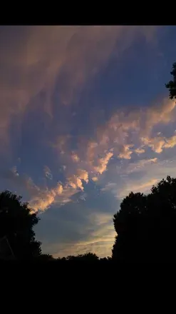 2026-07-12 photo 1