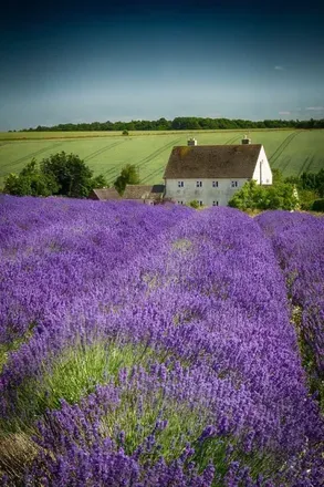 2025-10-13 photo 1