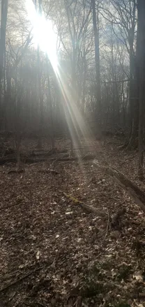 2025-11-05 photo 1