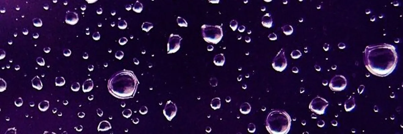 2025-07-21 photo 2