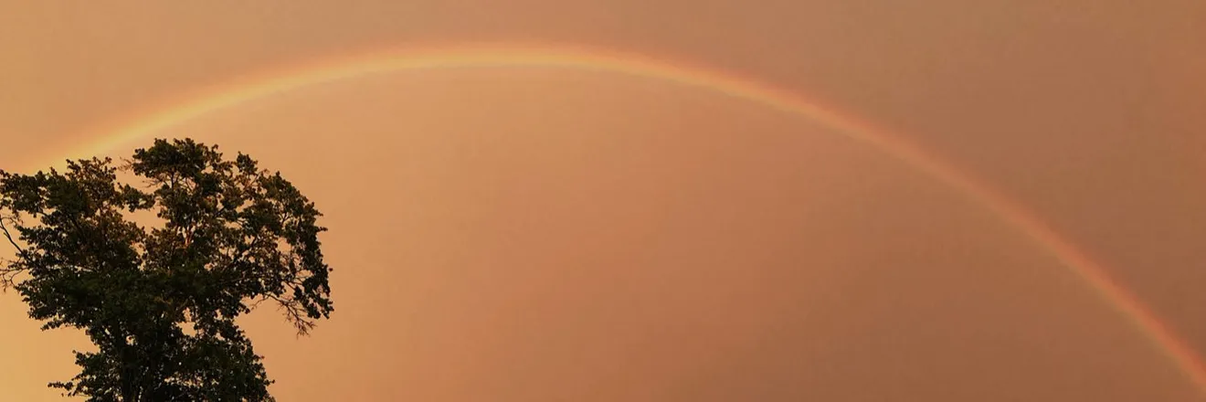 2025-09-01 photo 2