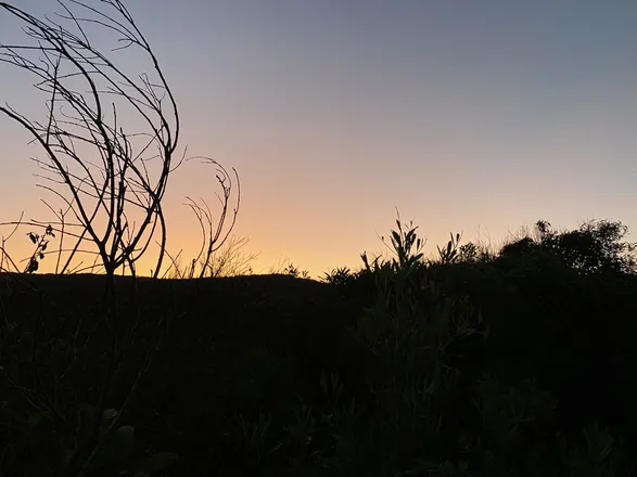 2026-02-07 photo 1