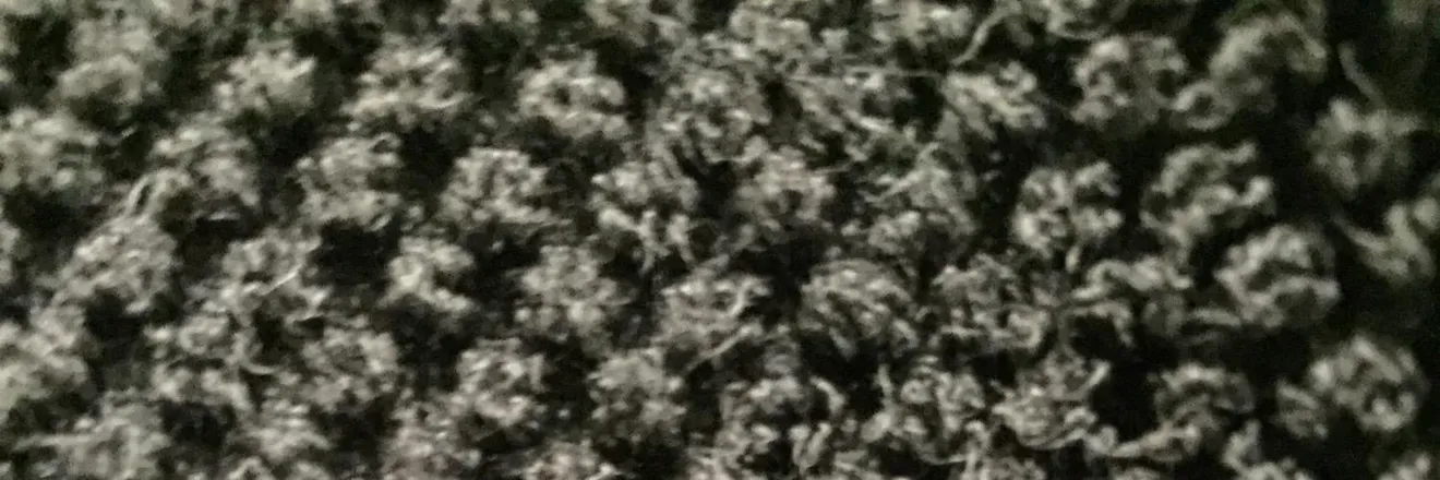 2026-02-09 photo 2