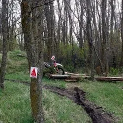 2026-02-22 photo 1