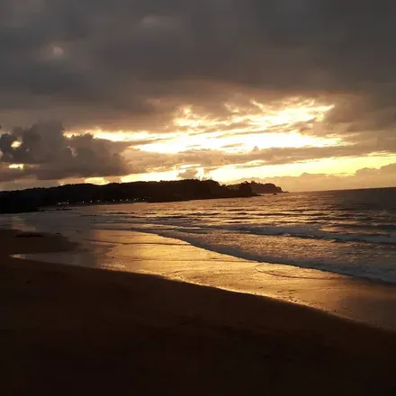 2025-09-19 photo 1