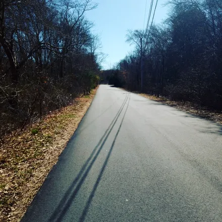 2025-11-15 photo 1