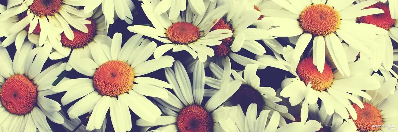 2026-04-06 photo 1