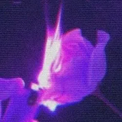 2025-12-11 photo 1