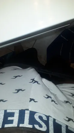 2025-08-06 photo 1
