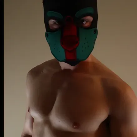 OnlyFans cuenta puplazarus avatar 1