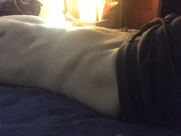 OnlyFans account  twinkmasturbates header 2