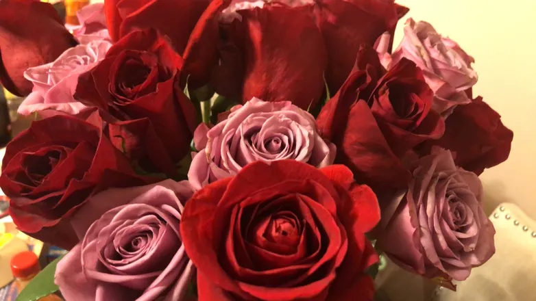 OnlyFans cuenta u75148060 header 2