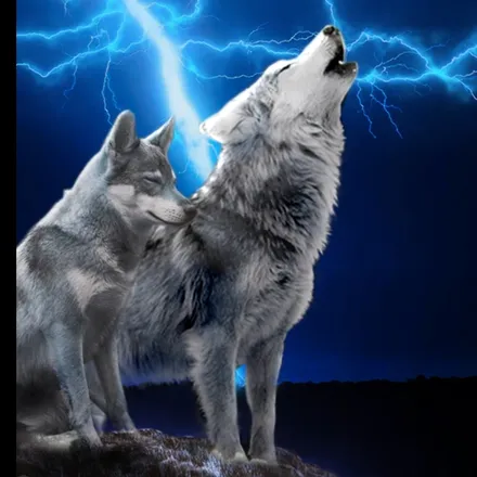 OnlyFans cuenta wickedsparky header 2