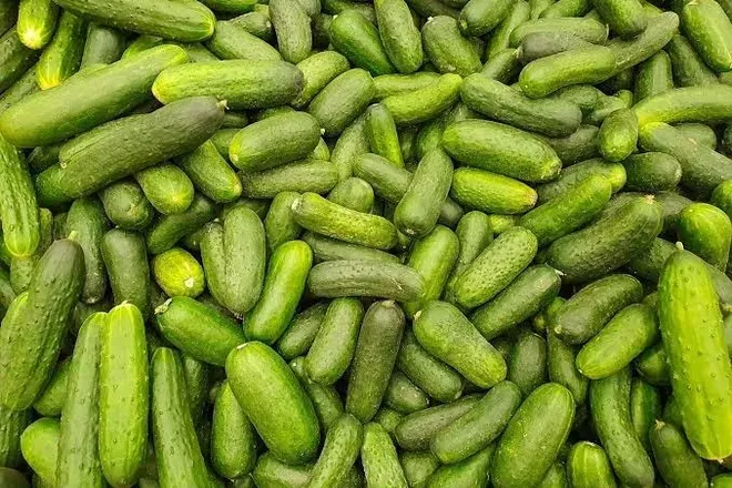 OnlyFans account  only_pickles header 2