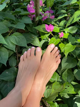 OnlyFans cuenta feetpicturesinparadise header 2