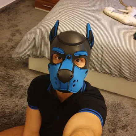 OnlyFans cuenta puppy_yasha header 2